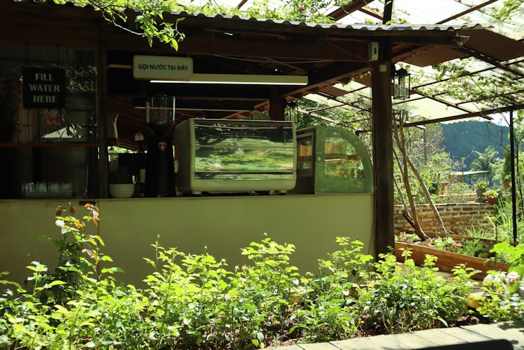 An outdoor cafe counter surrounded by planting